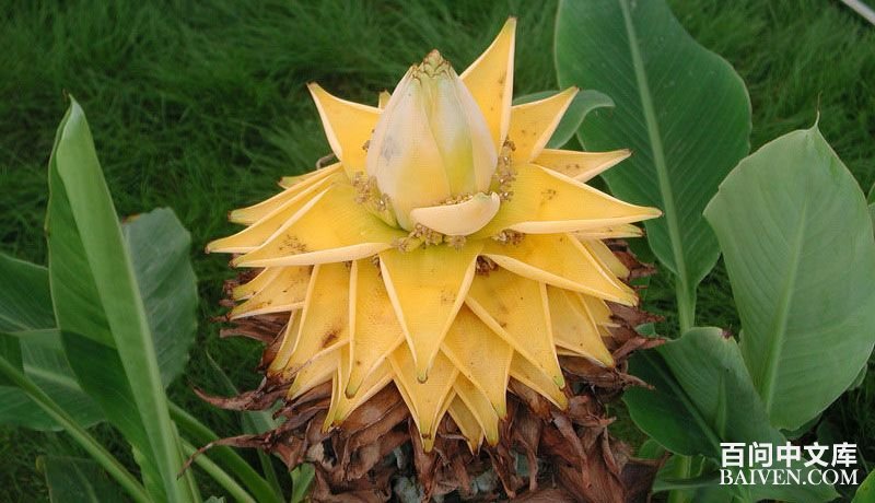 ��ӿ����