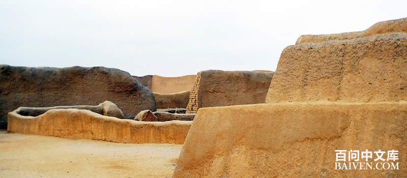 �����ų�