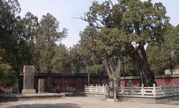 �������Ժ