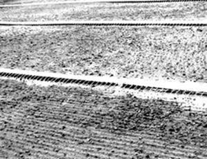 CRI�ֳ�����ͼ