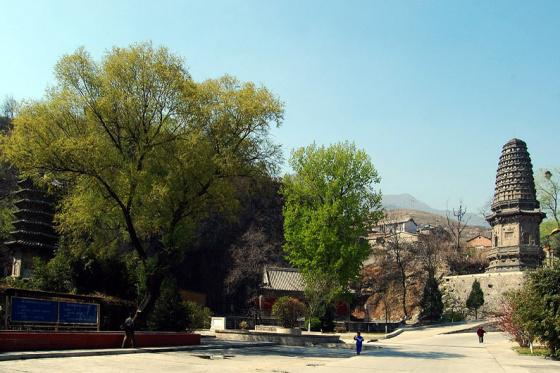 ȫ���ص����ﱣ����λ������á���ˮ��ʯ�̼���