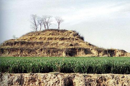 ȫ���ص����ﱣ����λ����ɽ�ų���ַ