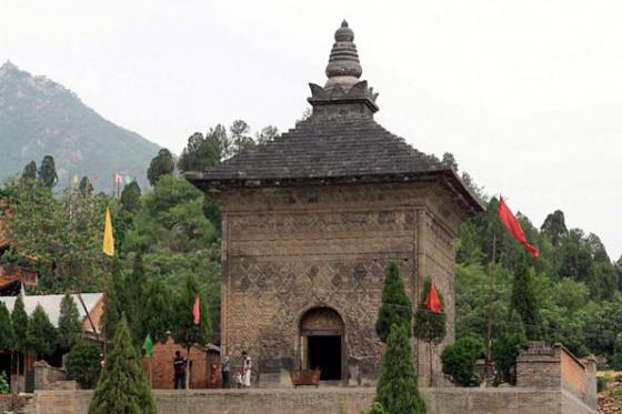 ȫ���ص����ﱣ����λ���޶�����