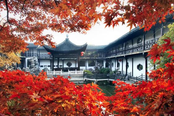 ȫ���ص����ﱣ����λ����԰