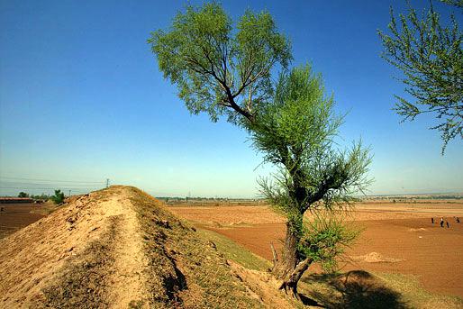全国重点文物保护单位:代王城遗址