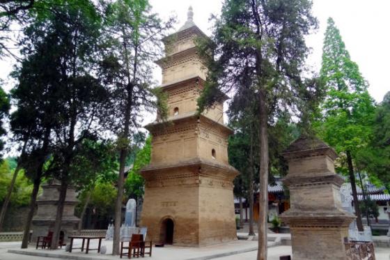 ȫ���ص����ﱣ����λ���˽�����