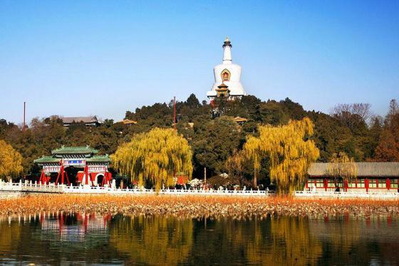 ȫ���ص����ﱣ����λ���������ų�