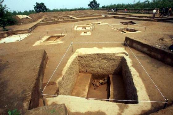 ȫ���ص����ﱣ����λ������ƽ��ַ