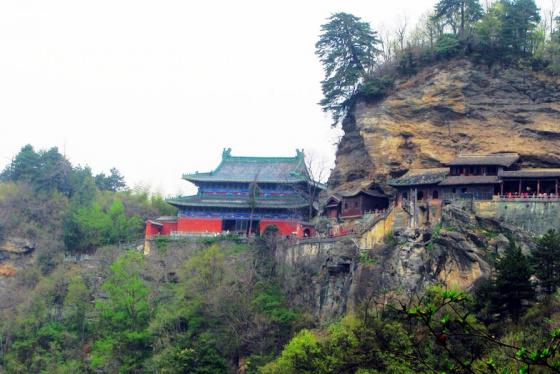 ȫ���ص����ﱣ����λ�����ҹ�