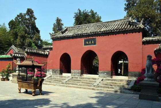 ȫ���ص����ﱣ����λ�����������