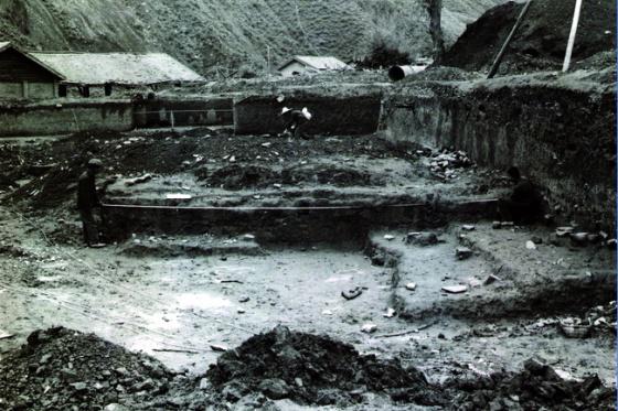 ȫ���ص����ﱣ����λ��������ַ�������ֳ�