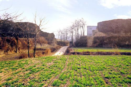 ȫ���ص����ﱣ����λ���ų�կ��ַ���ų�կ������ȱ��