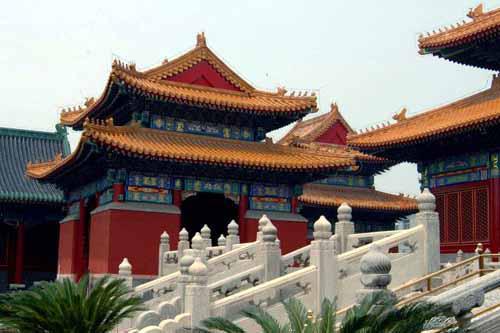 ȫ���ص����ﱣ����λ������������