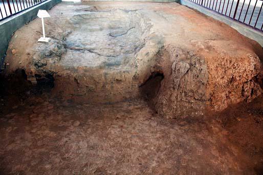 ȫ���ص����ﱣ����λ������ұ����ַ����¯��ַ