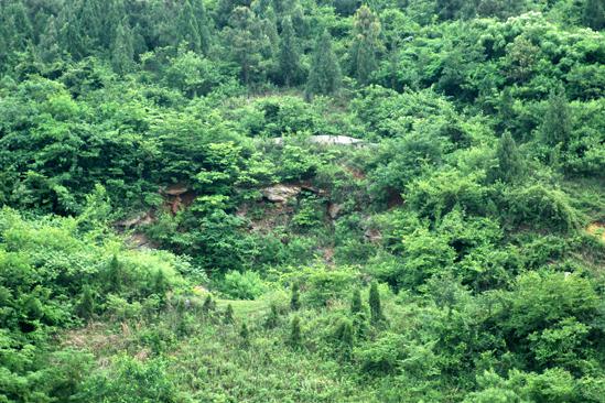 ȫ���ص����ﱣ����λ������Գ����ַ