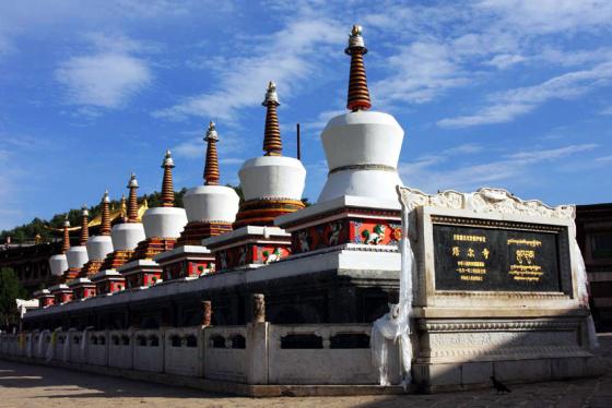 ȫ���ص����ﱣ����λ��������