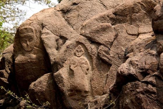 ȫ���ص����ﱣ����λ������ɽĦ������