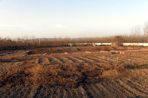 ȫ���ص����ﱣ����λ��ʬ�繵�̳���ַ