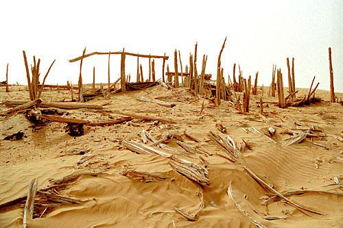 ȫ���ص����ﱣ����λ��������ַ