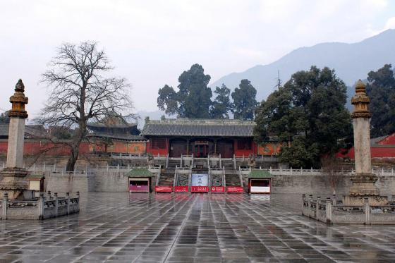 ȫ���ص����ﱣ����λ��ƽ�䱨����