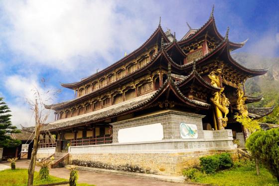 ȫ���ص����ﱣ����λ����������