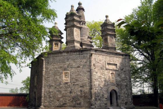 ȫ���ص����ﱣ����λ������¶౦��