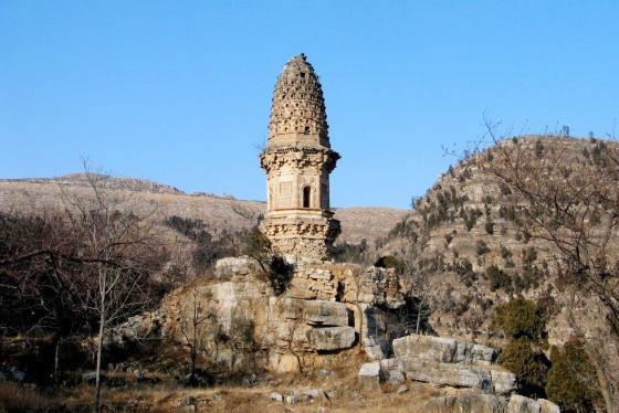 ȫ���ص����ﱣ����λ���컯�»���