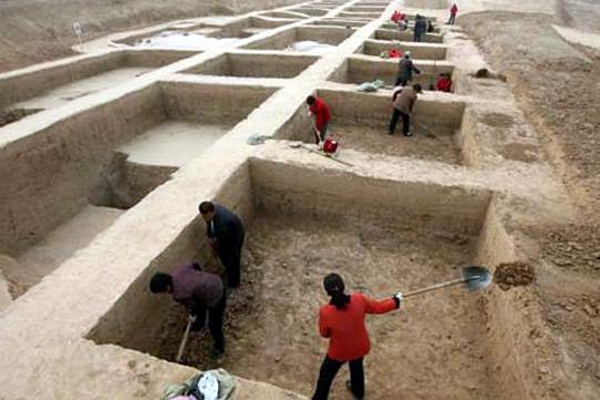 ȫ���ص����ﱣ����λ�����׹���ַ�������ֳ�