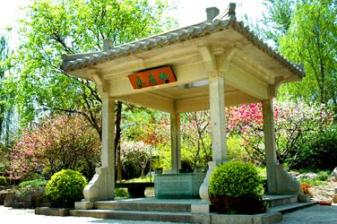 ɽ��������ʮ����Ȫ���ſ�Ȫ