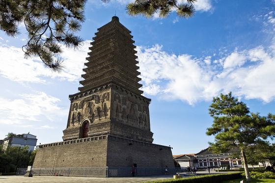 ȫ���ص����ﱣ����λ����������