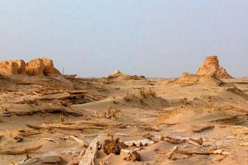 ȫ���ص����ﱣ����λ��¥���ʳ���ַ