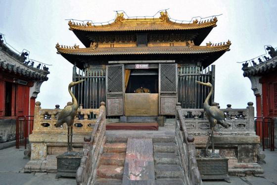 ȫ���ص����ﱣ����λ���䵱ɽ���