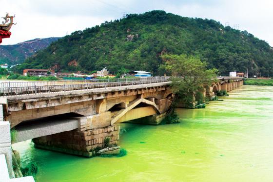 �������ݣ�������