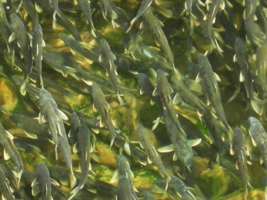 ɳ���ӣ��ຣ������