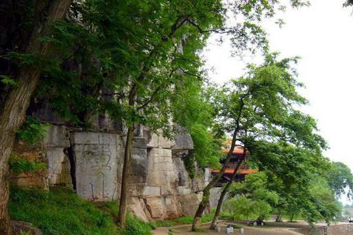 ȫ���ص����ﱣ����λ���ϪĦ��ʯ��