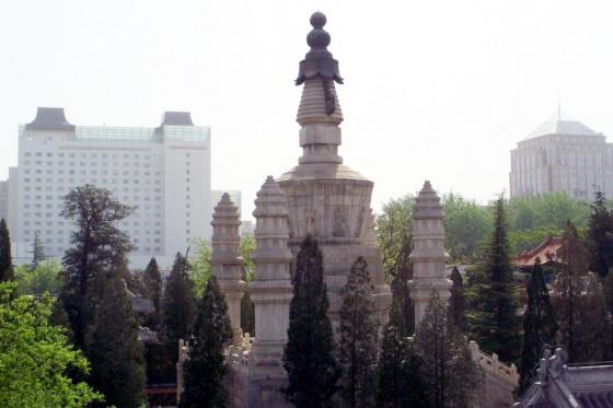 ȫ���ص����ﱣ����λ���徻������