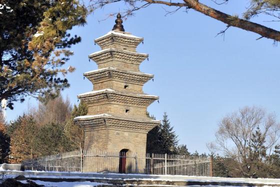 ȫ���ص����ﱣ����λ�������