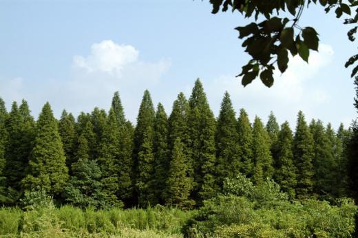 Ǳ��ɭ�ֹ�԰