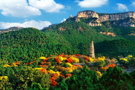 ȫ���ص����ﱣ����λ��������