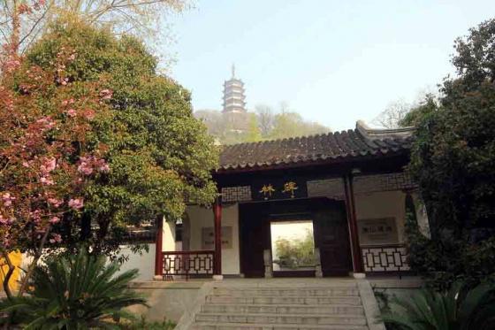 ȫ���ص����ﱣ����λ����ɽ����