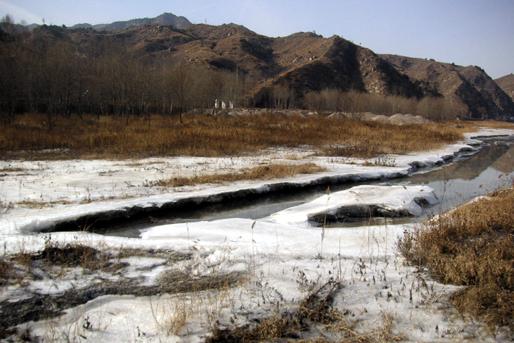 ȫ���ص����ﱣ����λ�����¶���ַ