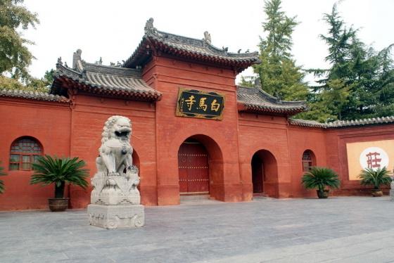 ȫ���ص����ﱣ����λ��������