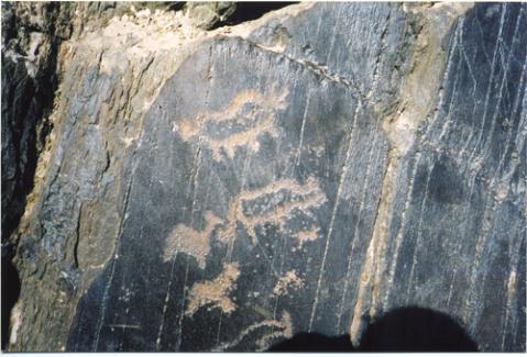 �ຣʡ�������������ݸղ��أ��᲼���һ�