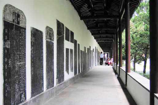 ȫ���ص����ﱣ����λ�������������δ�ʯ��