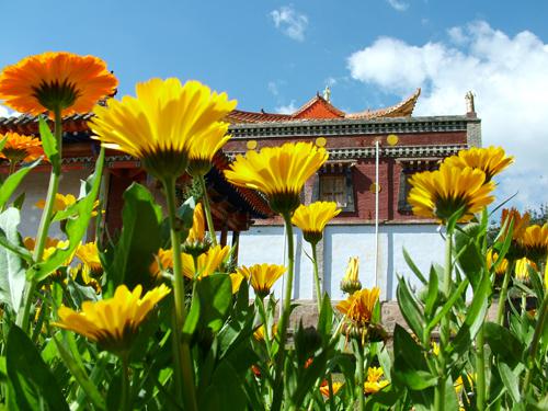 �ຣʡ������:ҩ��̨��