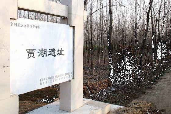 全国重点文物保护单位:贾湖遗址