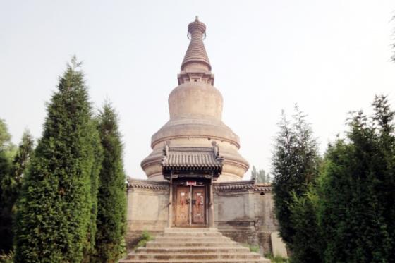 ȫ���ص����ﱣ����λ����������