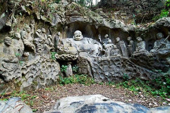 ȫ���ص����ﱣ����λ�����������񡪡�����������ʮ���޺�Ⱥ��