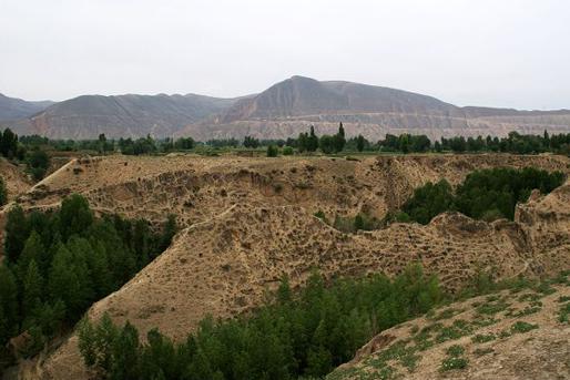 ȫ���ص����ﱣ����λ������ܫ��ַ