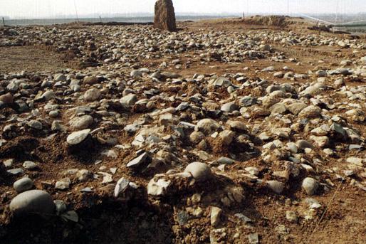 ȫ���ص����ﱣ����λ������ɽ��ַ